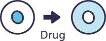 Nuclear Translocation